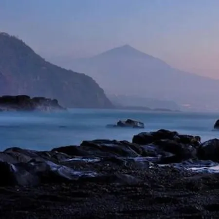 Wonderful View * タコロンテ